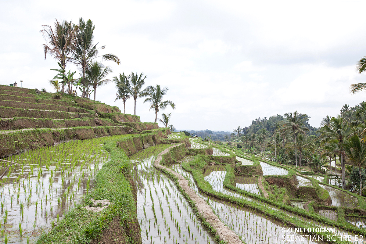 Bali in Indonesien